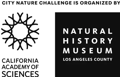 logo museo los angeles